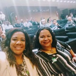Seminário na Câmara dos Deputados