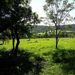 Visita da Diretoria ao associado Paulo Cesar, no dia 14/12/2018